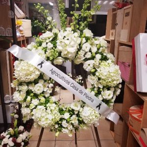 Ofrenda Luctuosa (OF.01)